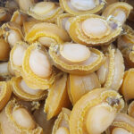 🌟 大連乾鮑魚 🌟